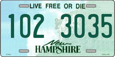 NH license plate 1023035