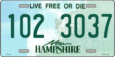 NH license plate 1023037
