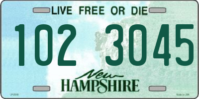 NH license plate 1023045