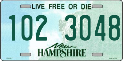 NH license plate 1023048