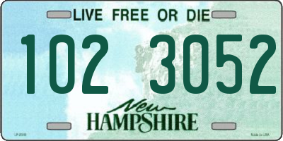 NH license plate 1023052