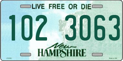 NH license plate 1023063