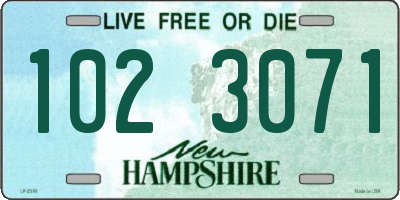NH license plate 1023071