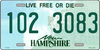 NH license plate 1023083