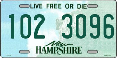 NH license plate 1023096