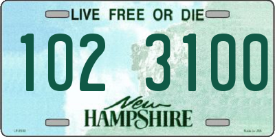 NH license plate 1023100