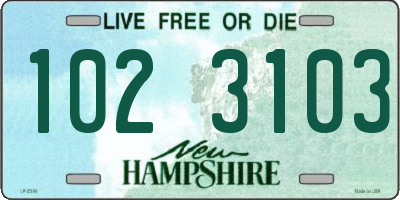 NH license plate 1023103