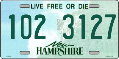NH license plate 1023127