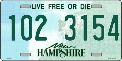 NH license plate 1023154