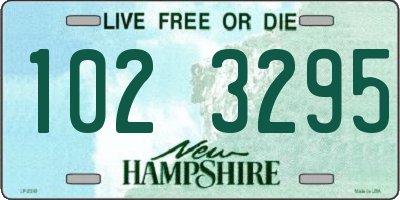 NH license plate 1023295