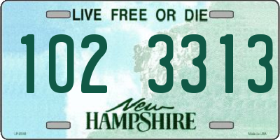 NH license plate 1023313