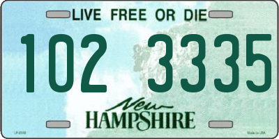 NH license plate 1023335