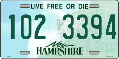 NH license plate 1023394