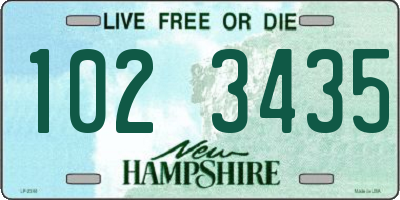 NH license plate 1023435