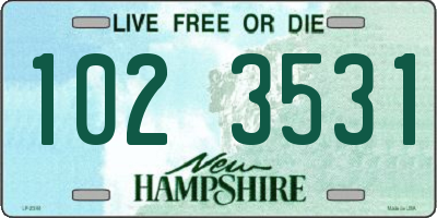 NH license plate 1023531