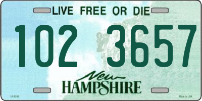 NH license plate 1023657