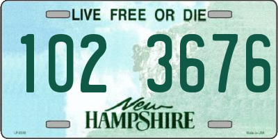 NH license plate 1023676