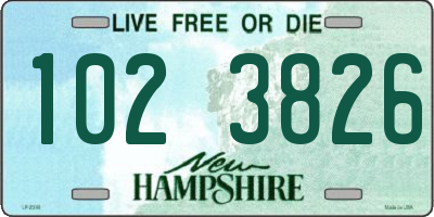 NH license plate 1023826