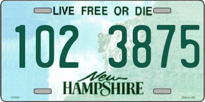 NH license plate 1023875