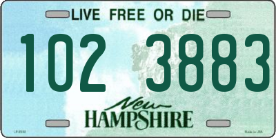 NH license plate 1023883