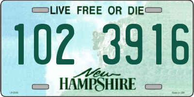 NH license plate 1023916