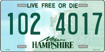 NH license plate 1024017