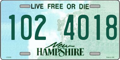 NH license plate 1024018