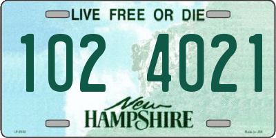 NH license plate 1024021