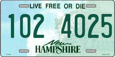 NH license plate 1024025
