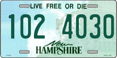 NH license plate 1024030