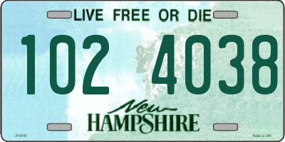 NH license plate 1024038