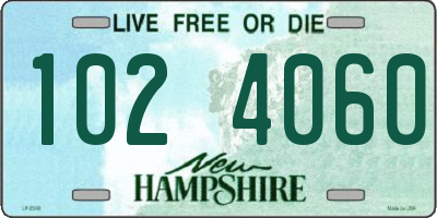 NH license plate 1024060