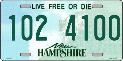 NH license plate 1024100