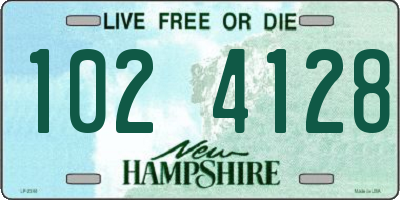 NH license plate 1024128