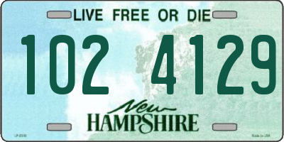 NH license plate 1024129