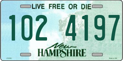 NH license plate 1024197