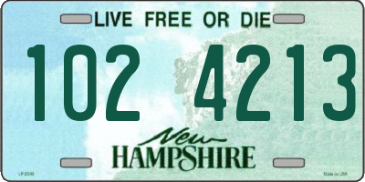 NH license plate 1024213