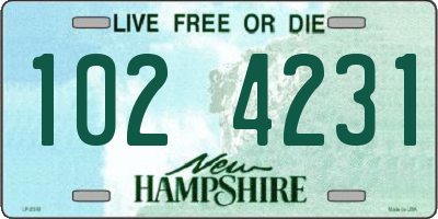 NH license plate 1024231