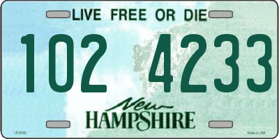 NH license plate 1024233
