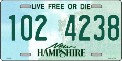 NH license plate 1024238