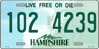 NH license plate 1024239