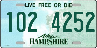 NH license plate 1024252