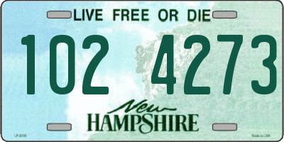 NH license plate 1024273
