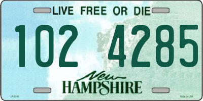 NH license plate 1024285