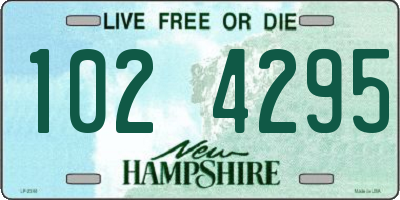 NH license plate 1024295