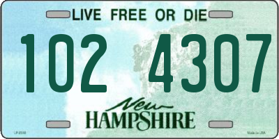 NH license plate 1024307