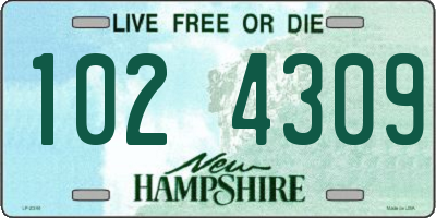 NH license plate 1024309