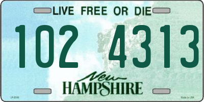 NH license plate 1024313