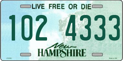 NH license plate 1024333