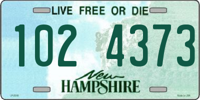 NH license plate 1024373